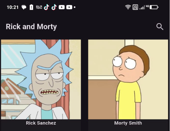 Preview Rick & Morty Flutter